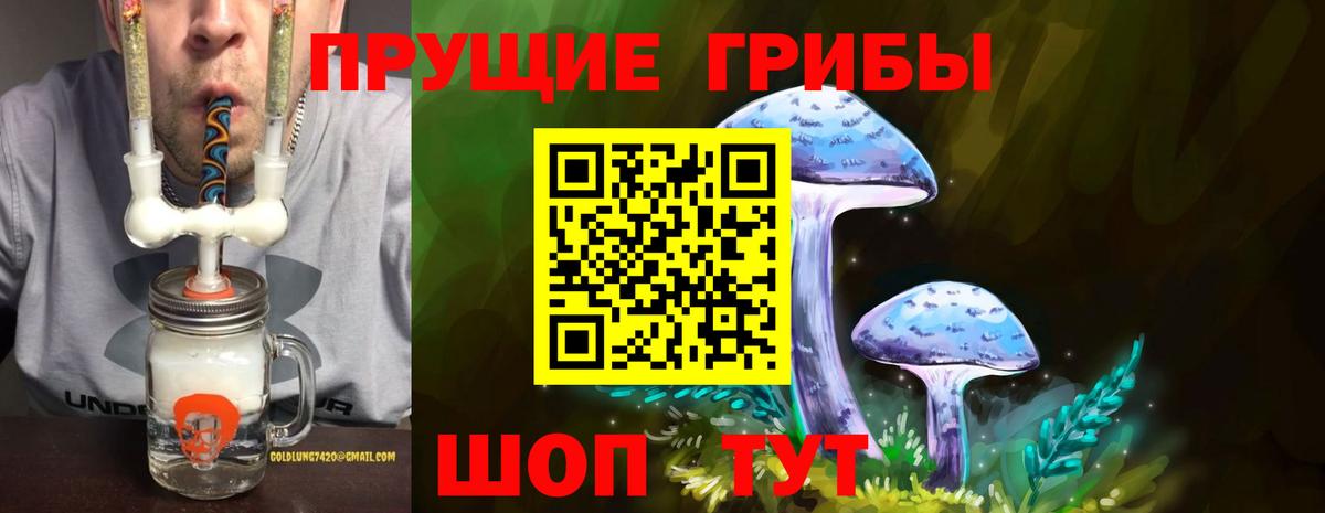 Галлюциногенные грибы прущие грибы  Вход с VPN  Псилоцибиновые грибы Psilocybe  Отрадное 