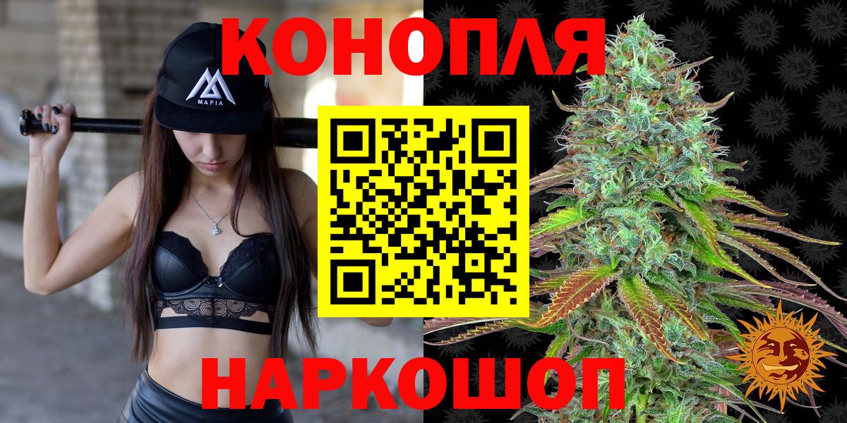 Конопля конопля Отрадное
